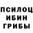 Галлюциногенные грибы Psilocybe Sergey Zerkal