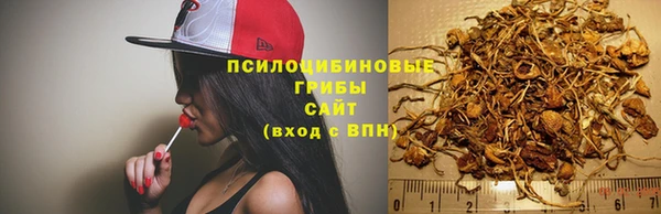 твердый Белоозёрский