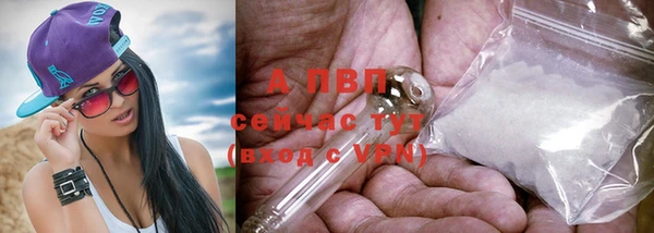 крисы Беломорск