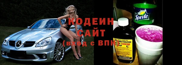 хмурый Белокуриха