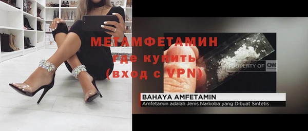 хмурый Белокуриха