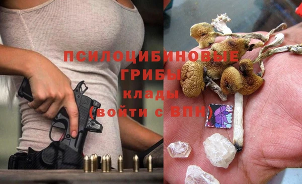 крисы Беломорск
